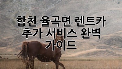 합천 율곡면 렌트카: 추가 서비스 완벽 가이드